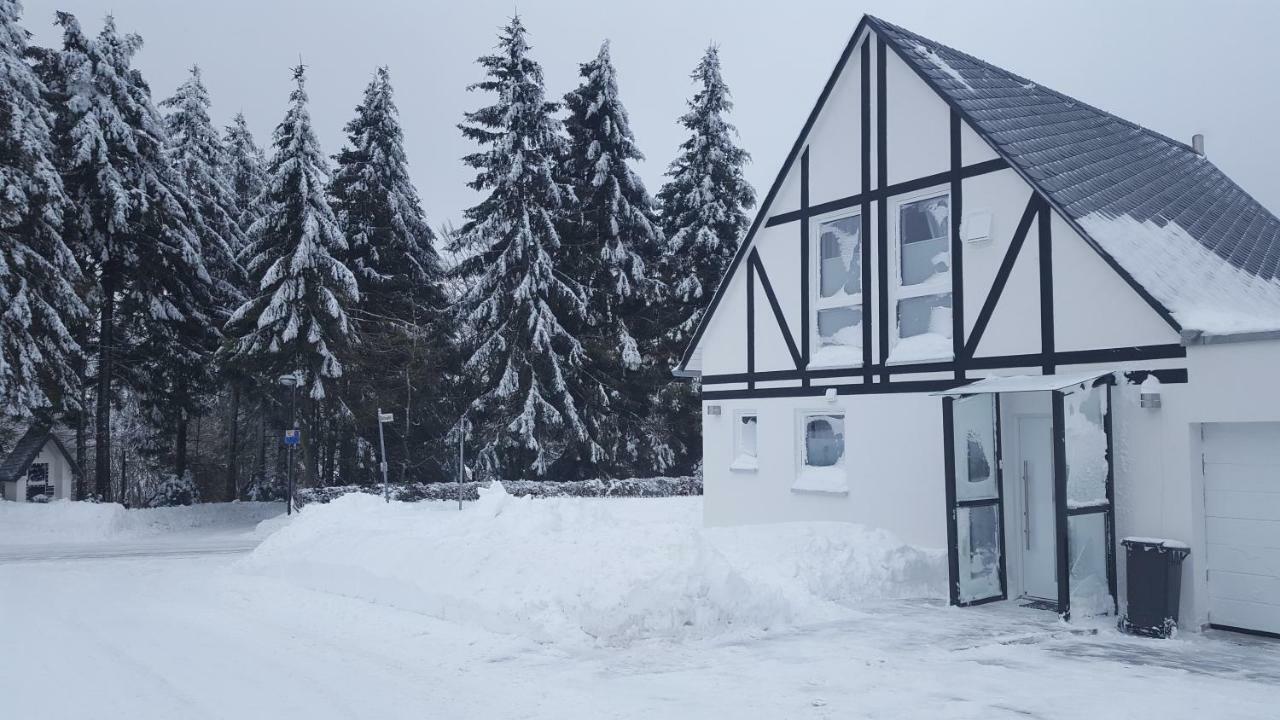 Ferienhaus Bergidylle Winterberg Ngoại thất bức ảnh