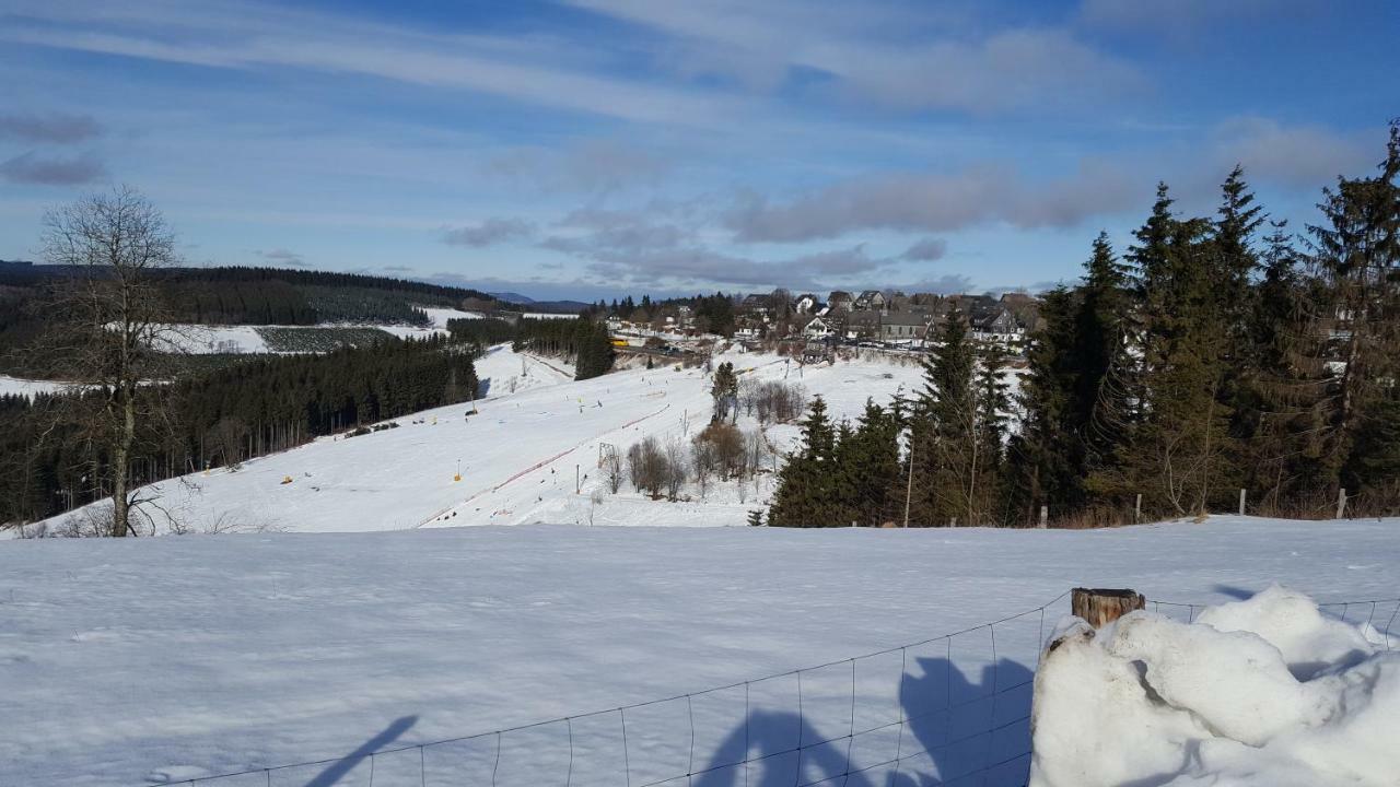 Ferienhaus Bergidylle Winterberg Ngoại thất bức ảnh
