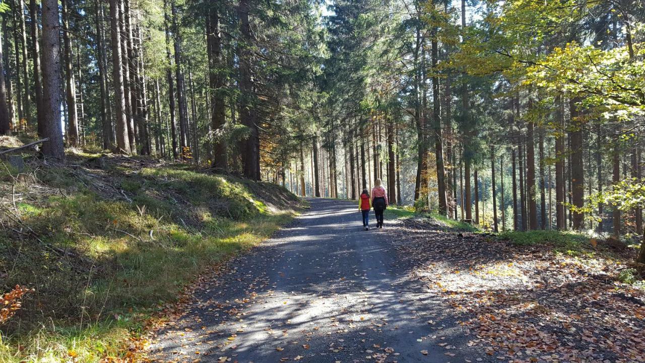 Ferienhaus Bergidylle Winterberg Ngoại thất bức ảnh