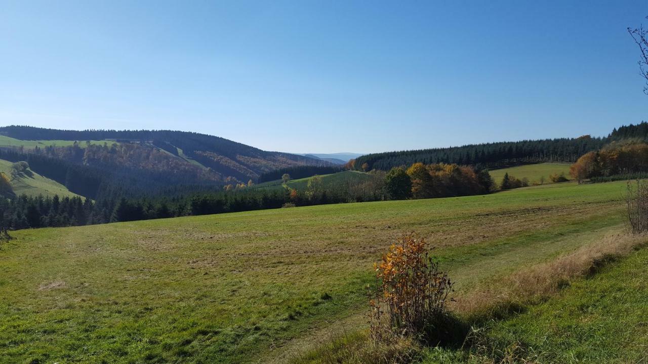 Ferienhaus Bergidylle Winterberg Ngoại thất bức ảnh