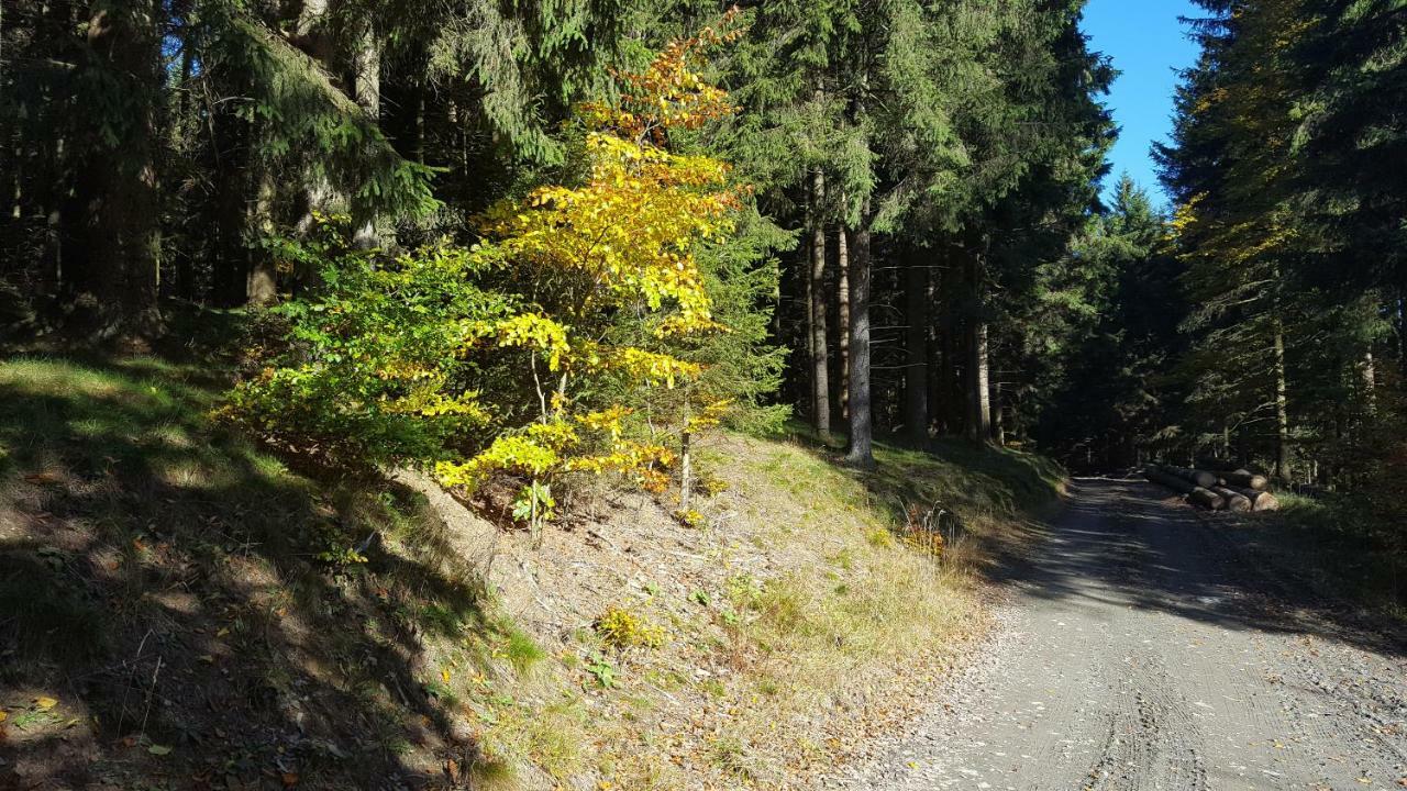 Ferienhaus Bergidylle Winterberg Ngoại thất bức ảnh