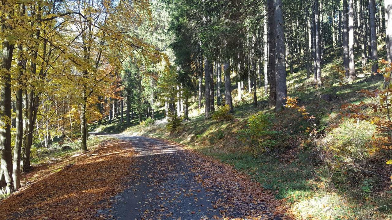 Ferienhaus Bergidylle Winterberg Ngoại thất bức ảnh