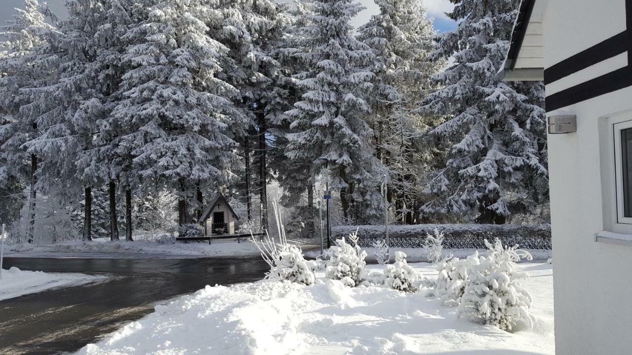 Ferienhaus Bergidylle Winterberg Ngoại thất bức ảnh